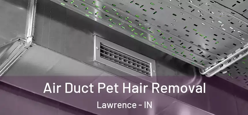  Air Duct Pet Hair Removal Lawrence - IN