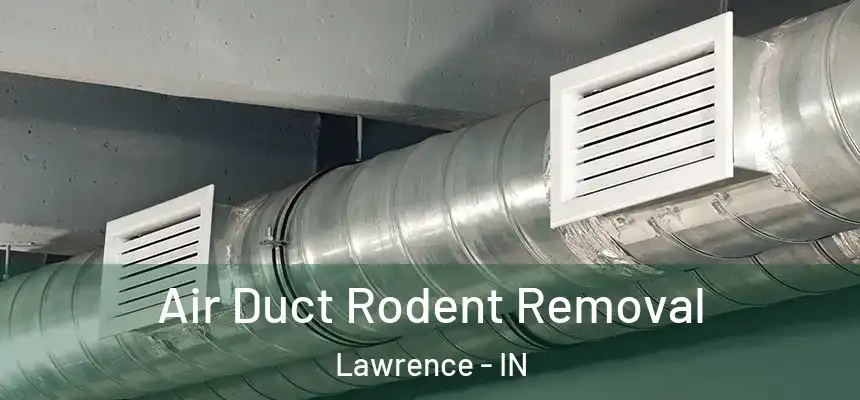  Air Duct Rodent Removal Lawrence - IN