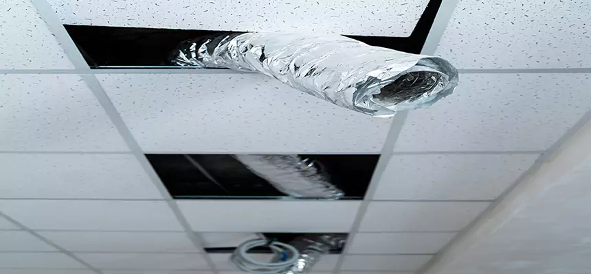 Our Air Duct Pet Hair Removal Services in Lawrence, IN