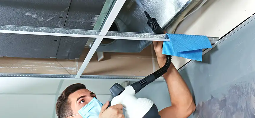 Our Air Duct Rodent Removal Services in Lawrence, IN