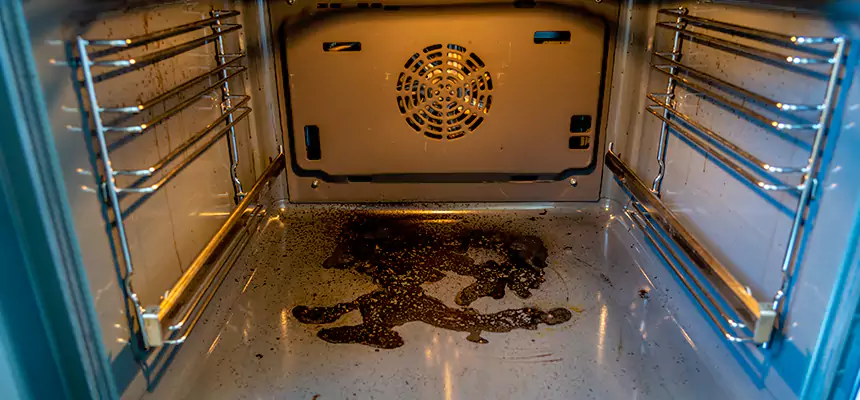 Our Dryer Vent Mold Cleaning Services in Lawrence, IN