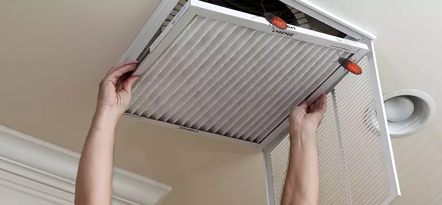 Our Insect Removal from Air Ducts Services in Lawrence, IN