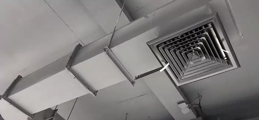 Our Pest Removal From Ducts Services in Lawrence, IN