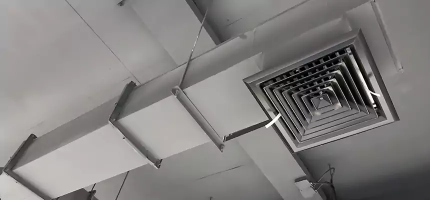 Our Rodent Droppings In Vents Services in Lawrence, IN