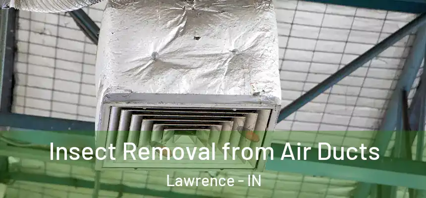  Insect Removal from Air Ducts Lawrence - IN