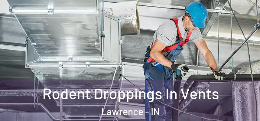  Rodent Droppings In Vents Lawrence - IN
