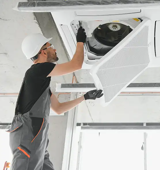 About Air Duct Rodent Removal in Lawrence, IN