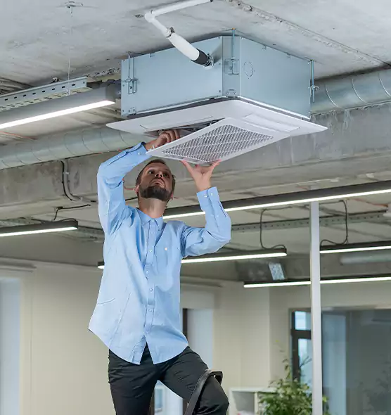 Advanced Rodent Droppings In Vents in Lawrence, IN